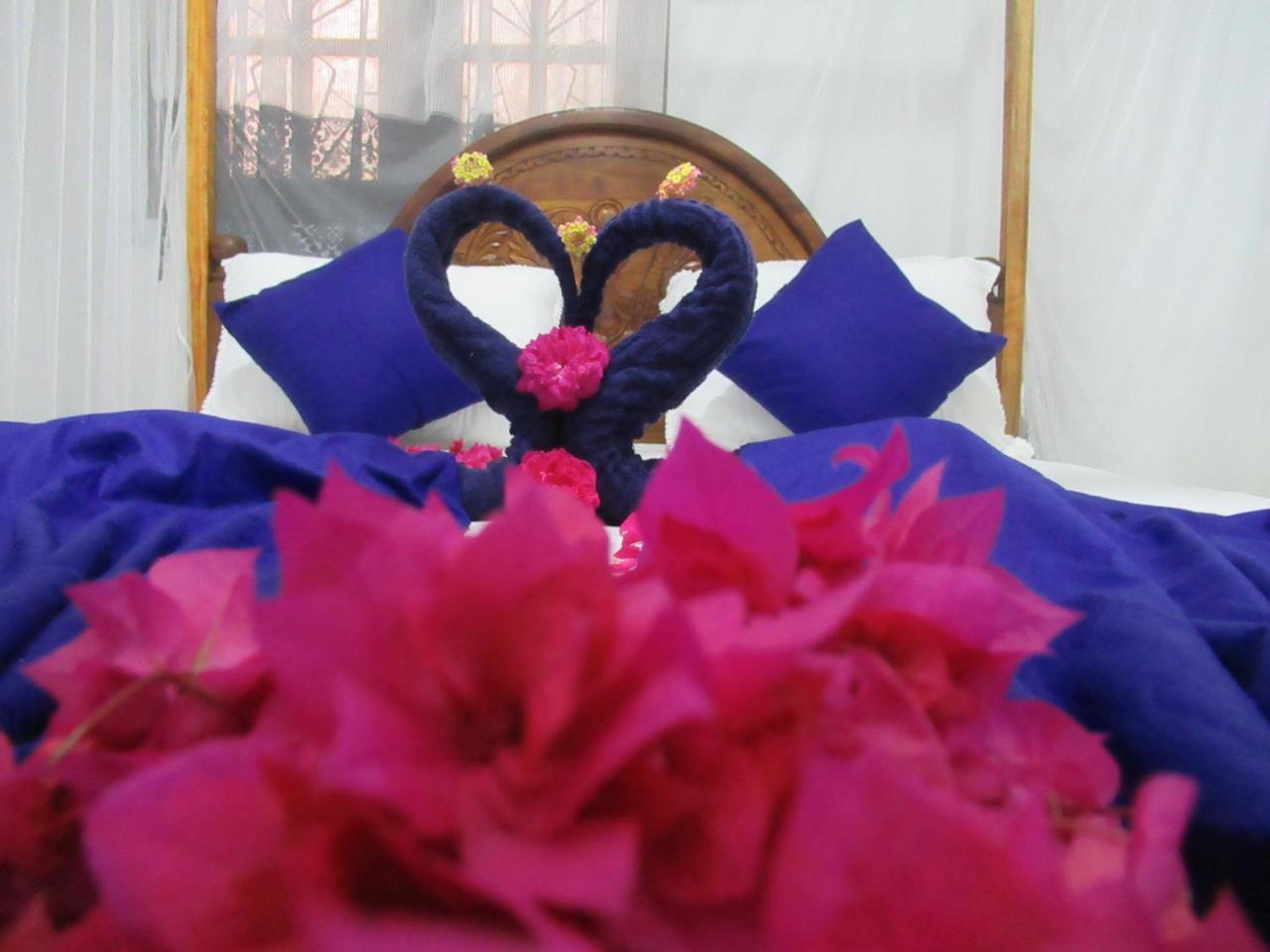Timasha Home Stay Tangalle Buitenkant foto